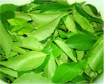 curry leaves natural herbs