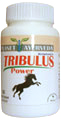 Tribulus Power-Male Support