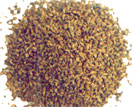 ajwain natural herbs