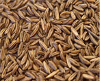caraway seeds natural herbs