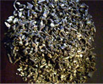 echinacea root natural herb