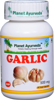 garlic natural herbs